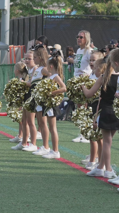 Individual Clips - Lanierland Cheer