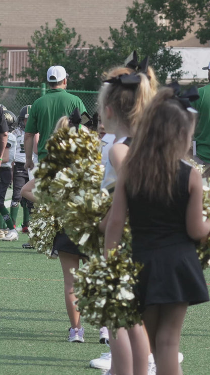 Individual Clips - Lanierland Cheer