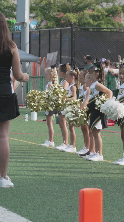 Individual Clips - Lanierland Cheer