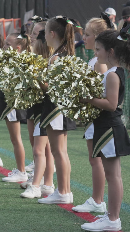 Individual Clips - Lanierland Cheer