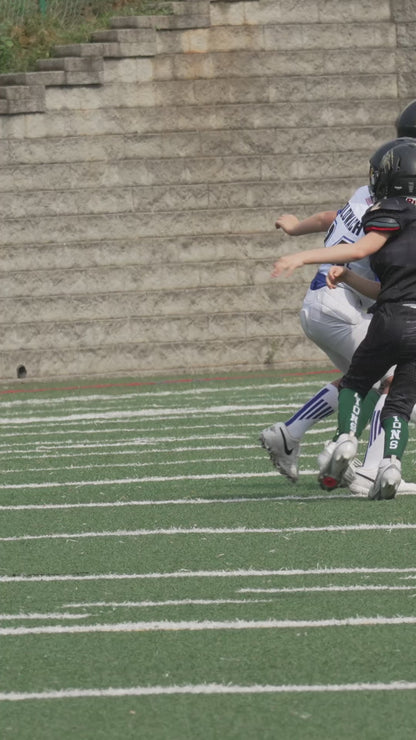 Individual Clips - Lanier Lions 3rd Grade Wilkins #1