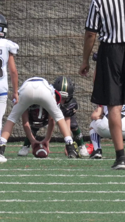 Highlight Video - Lanier Lions 3rd Grade Wilkins #1