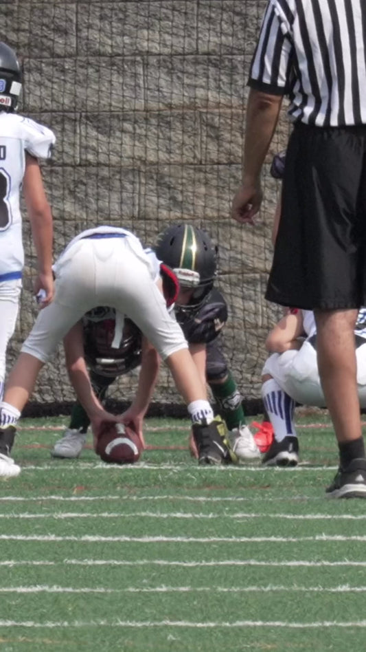 Highlight Video - Lanier Lions 3rd Grade Wilkins #1