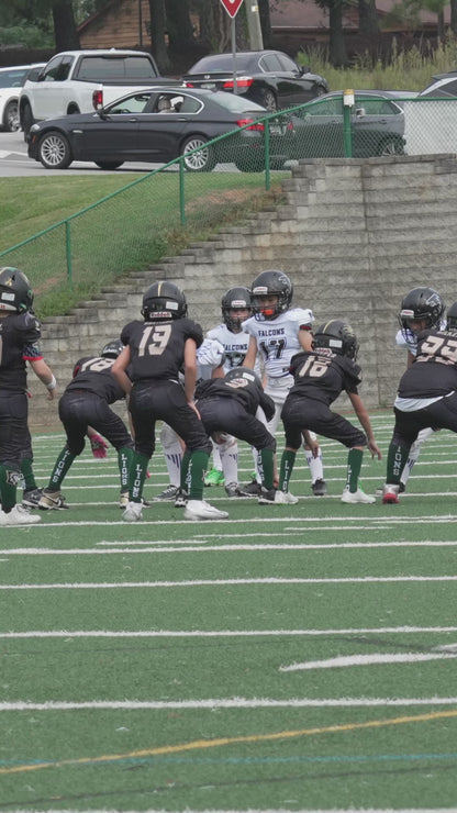 Individual Clips - Lanier Lions 3rd Grade Wilkins #1