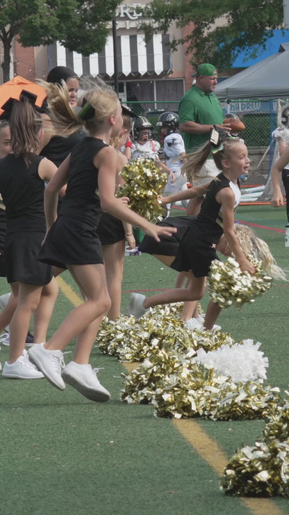 Individual Clips - Lanierland Cheer