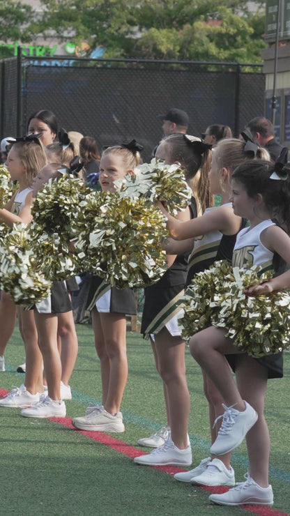 Individual Clips - Lanierland Cheer