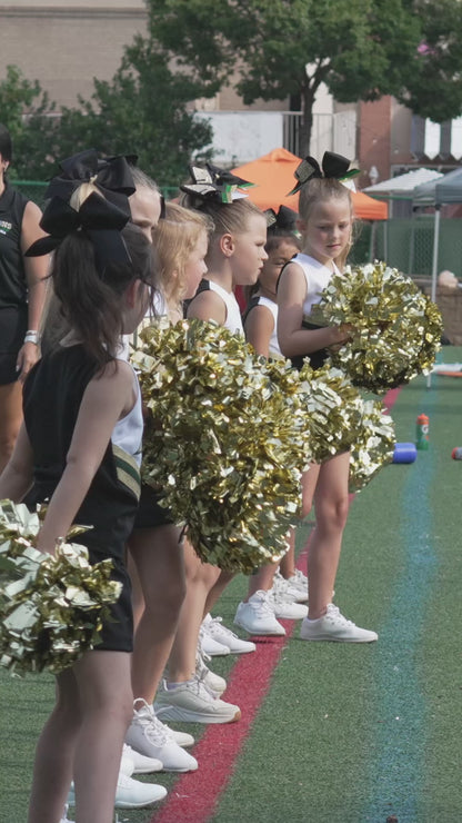 Individual Clips - Lanierland Cheer