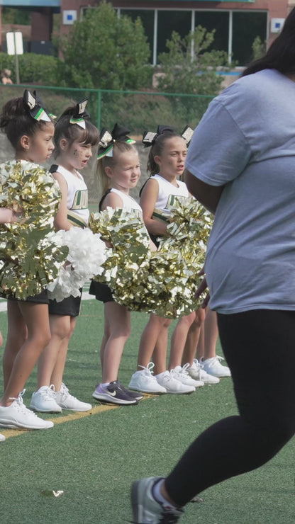 Individual Clips - Lanierland Cheer