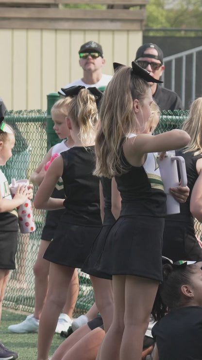 Individual Clips - Lanierland Cheer
