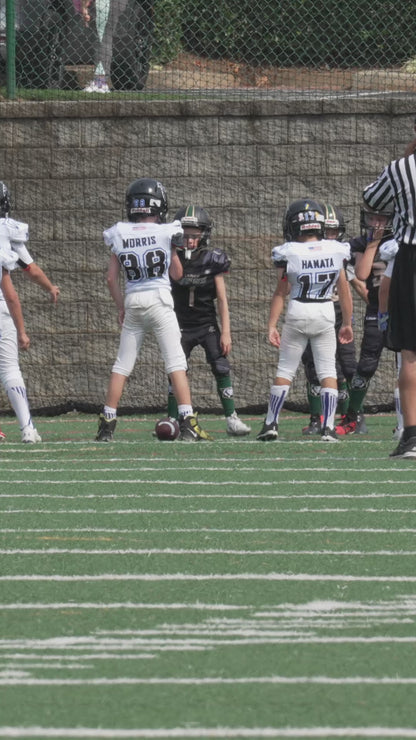 Individual Clips - Lanier Lions 3rd Grade Wilkins #1