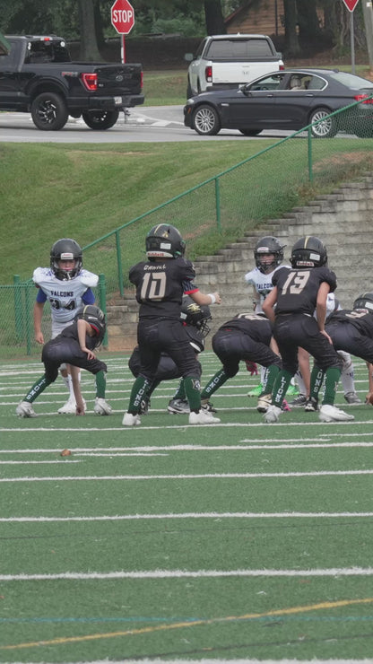 Individual Clips - Lanier Lions 3rd Grade Wilkins #1