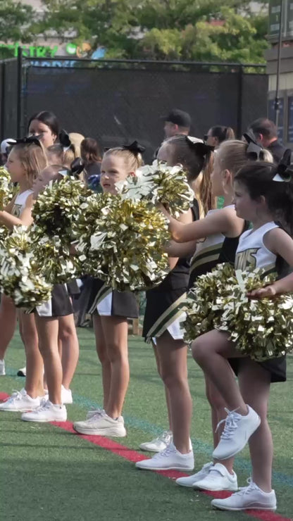 Highlight Video - Lanierland Cheer