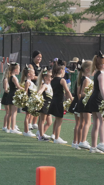 Individual Clips - Lanierland Cheer